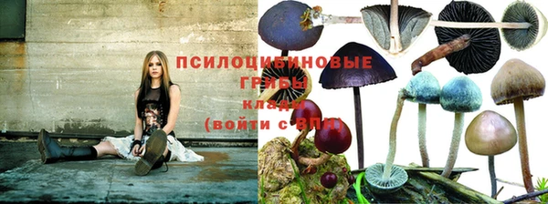 МДМА Алексин