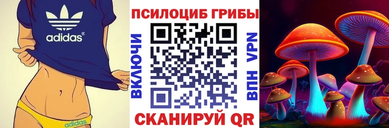 Псилоцибиновые грибы мухоморы  сколько стоит  Сенгилей 